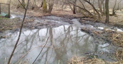 Фото – У Житомирі прорвало каналізацію: річка Тетерів знову в нечистотах. Фото
