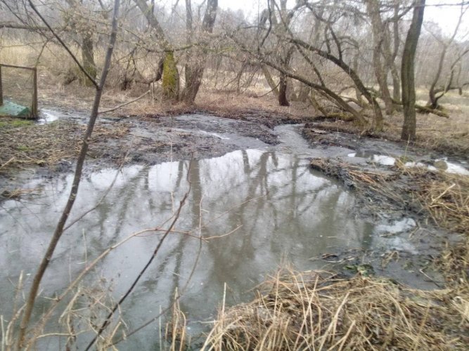 В Житомире прорвало канализацию: река Тетерев снова в нечистотах. Фото