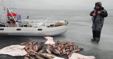 Фото – В Киевской области экоинспекторы забрали у рыбаков 100 кг рыбы