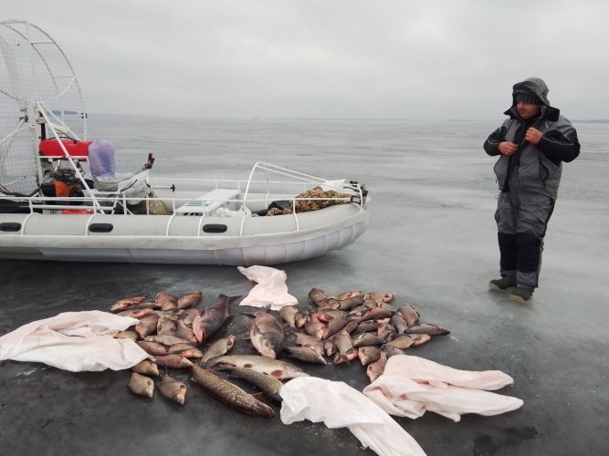 В Киевской области экоинспекторы забрали у рыбаков 100 кг рыбы