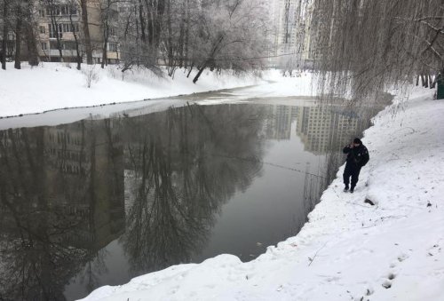 У Києві розчистили сміттєвий завал біля озер на Теремках. Фото до та після