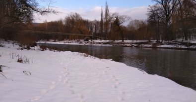 Фото – На Закарпатті встановлять сітки для вилову сміття з річок