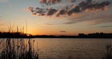 Фото – У Києві ліквідували стихійне звалище біля озера Тягле. Фото до та після