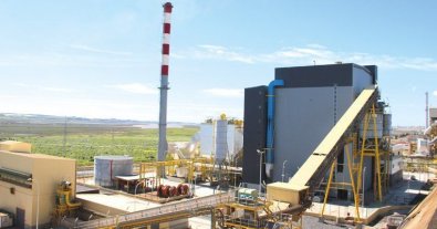 Фото – В Іспанії електростанція на біомасі забезпечує енергією 360 тисяч жителів
