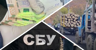 Фото – На Львівщині капітан поліції організував корупційну схему з вивезення лісу. Фото