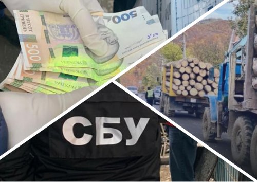 На Львівщині капітан поліції організував корупційну схему з вивезення лісу. Фото