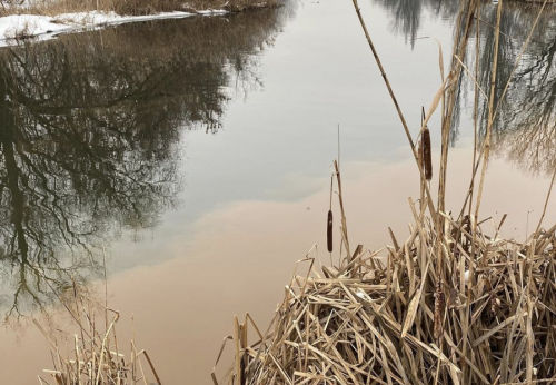 В Харькове река Лопань стала коричневой. Фото. Видео.