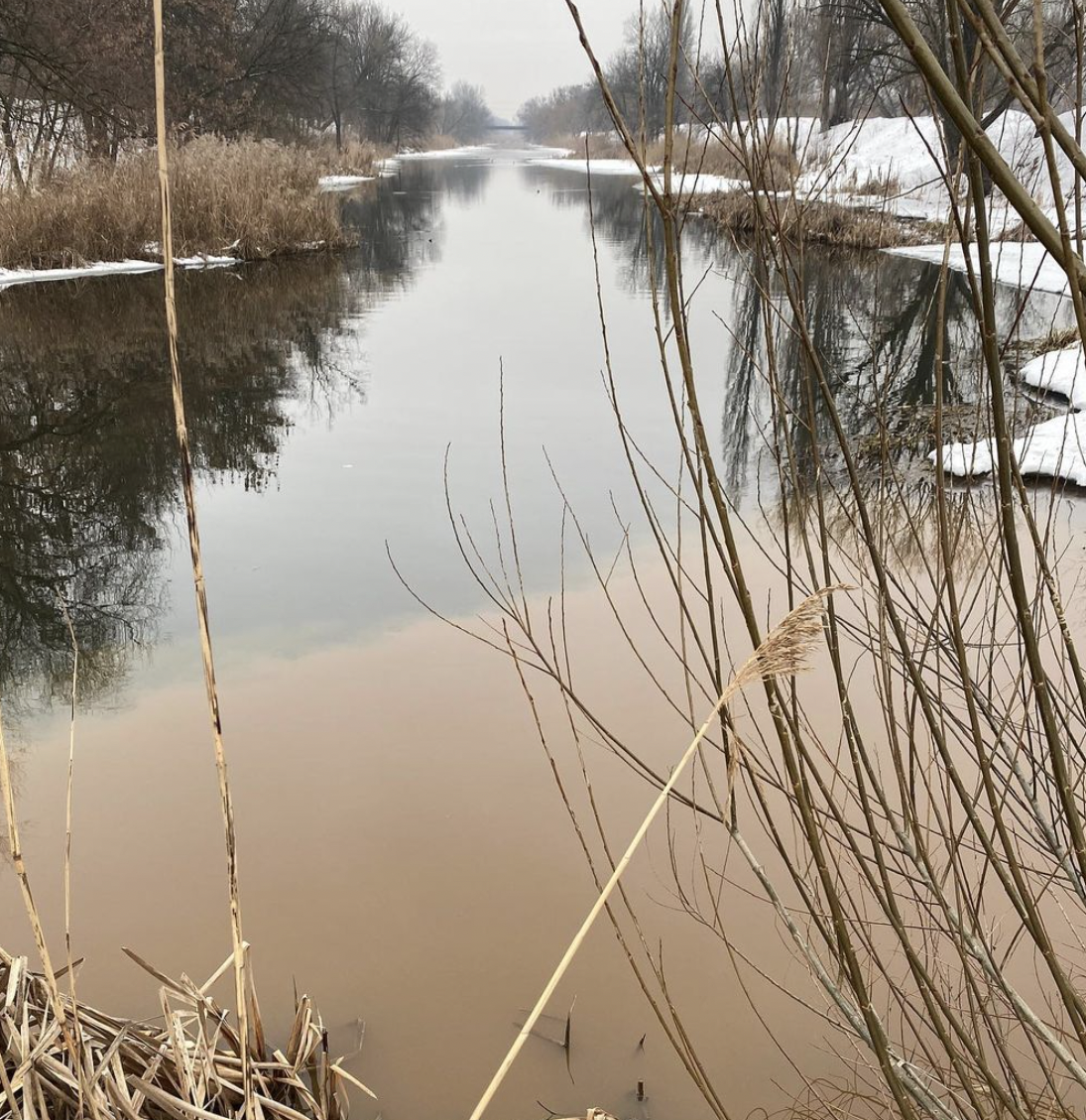 У Харкові річка Лопань стала коричневою. Фото. Відео.