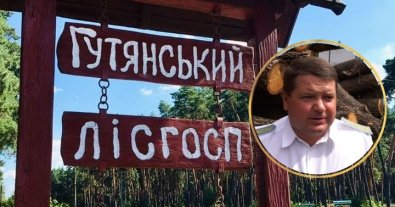 Фото – Головний "чорний" лісоруб Харківщини сяде за ґрати через хабар директору НАБУ