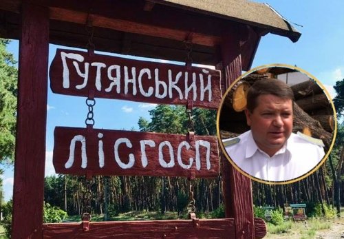 Главный "черный" лесоруб Харьковщины сядет за решетку из-за взятки директору НАБУ