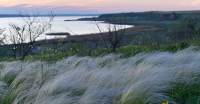 Фото – Минприроды обвинили в торможении развития заповедного дела в Украине