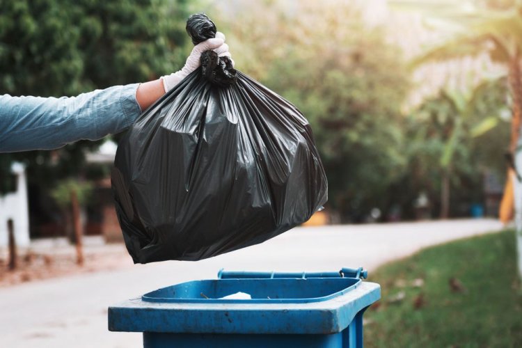 Во Львове жителей и гостей города попросили меньше создавать мусор