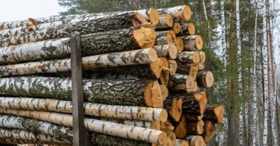 Photo – A KAMAZ truck with illegal wood was seized in Transcarpathia
