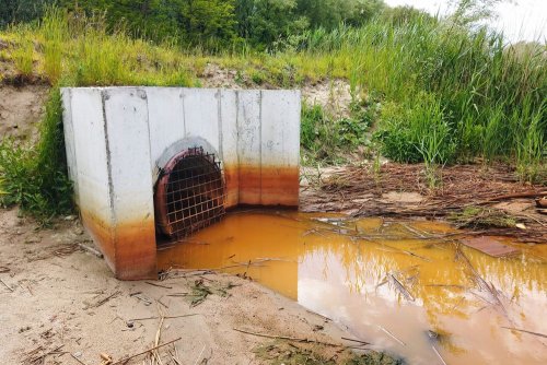 Річка в Сумах "поржавіла": у водоймі виявили перевищення заліза в 76 разів