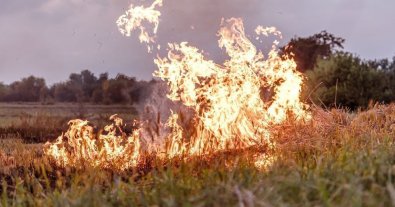 Фото – Через суху погоду на лівобережжі Херсонщини горіли плавні