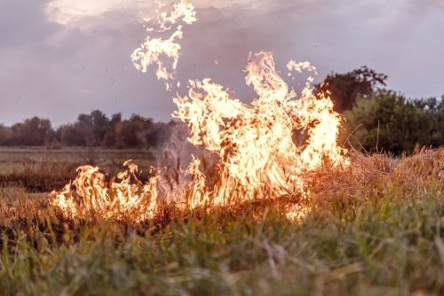 Due to dry weather, floodplains on the left bank of the Kherson region burned