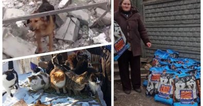 Фото – В Україні під час війни рятують тварин: як отримати допомогу