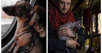 Фото – Як евакуюватися з собакою на поїзді: поради зоозахисників