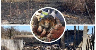 Фото – В Україні паліям трави загрожує ув'язнення до 15 років за диверсію. Відео. Фото