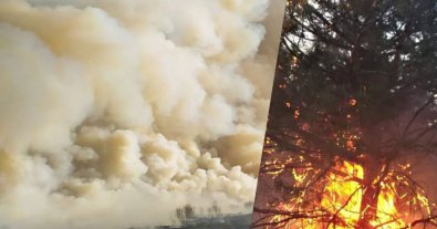 Фото – На Львовщине из-за сжигания сухостоя за день выгорело 14 га земли. Фото