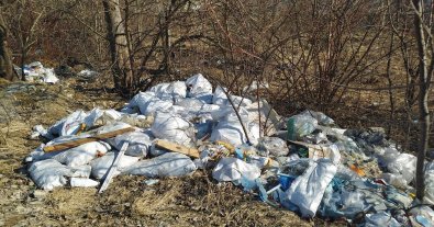 Фото – Во Львове обнаружили огромные груды мусора на земле. Фото