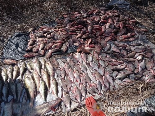 В Черкасской области поймали браконьера за ловлю в промышленных масштабах. Фото