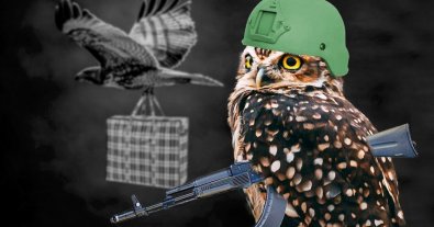 Фото – Експерт розповів, як війна може вплинути на птахів