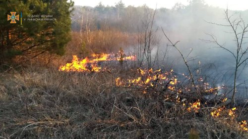 На Львівщині палії сухостою знищили гектари землі: рятувальники бʼють на сполох