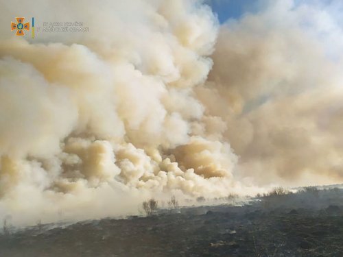 В Украине за год оштрафовали поджигателей травы на сотни тысяч грн: ТОП антилидеров
