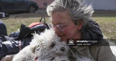 Фото – Жителька Ірпеня евакуювалася з розбомбленого міста разом із 24 собаками. Фото