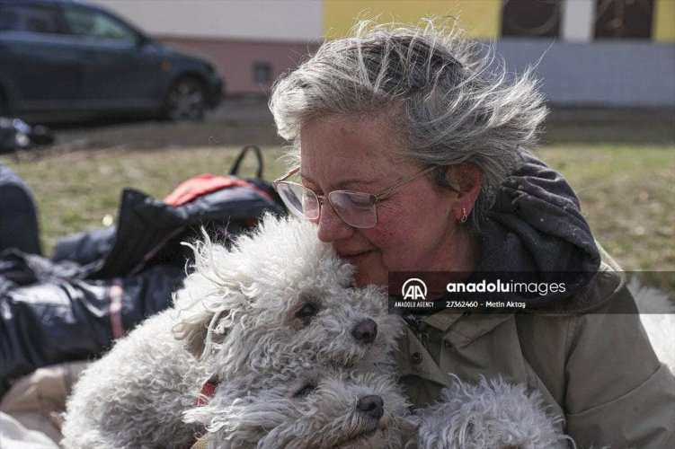 Жителька Ірпеня евакуювалася з розбомбленого міста разом із 24 собаками. Фото