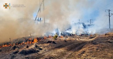 Фото – Весна без вогню: чому небезпечно спалювати суху рослинність