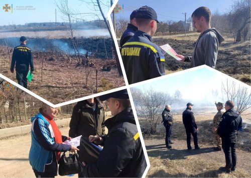На Львовщине поймали и оштрафовали 22 "хозяев", которые сжигали траву. Фото