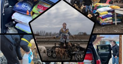 Photo – Volunteers will be awarded the All-Ukrainian Animal Protection Award for the first time