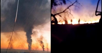 Фото – В Луганской области из-за обстрелов начались масштабные лесные пожары