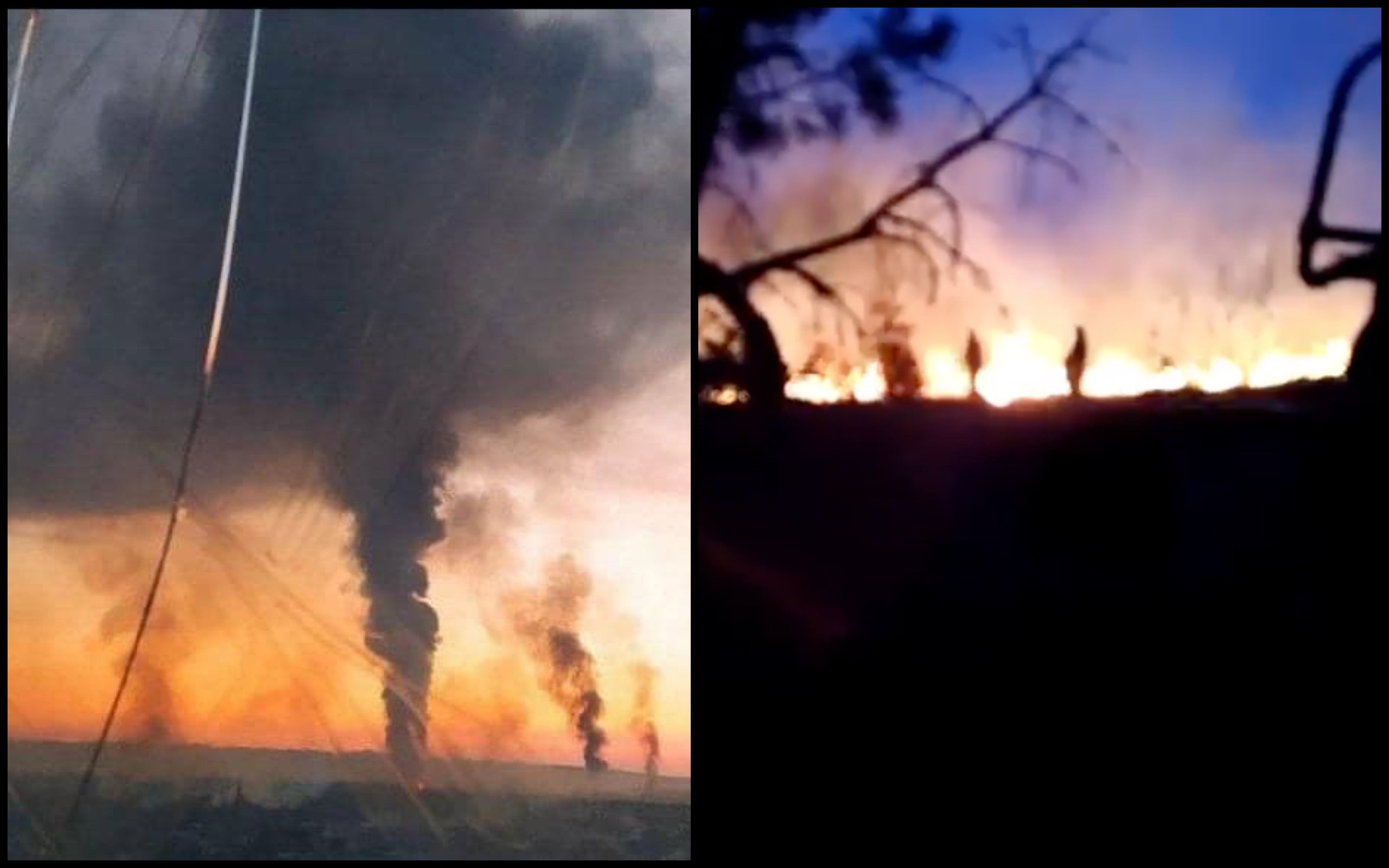 Фото – На Луганщині через обстріли розпочалися масштабні лісові пожежі