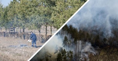 Фото – Во Львовской области только за сутки оштрафовали 35 поджигателей сухой травы