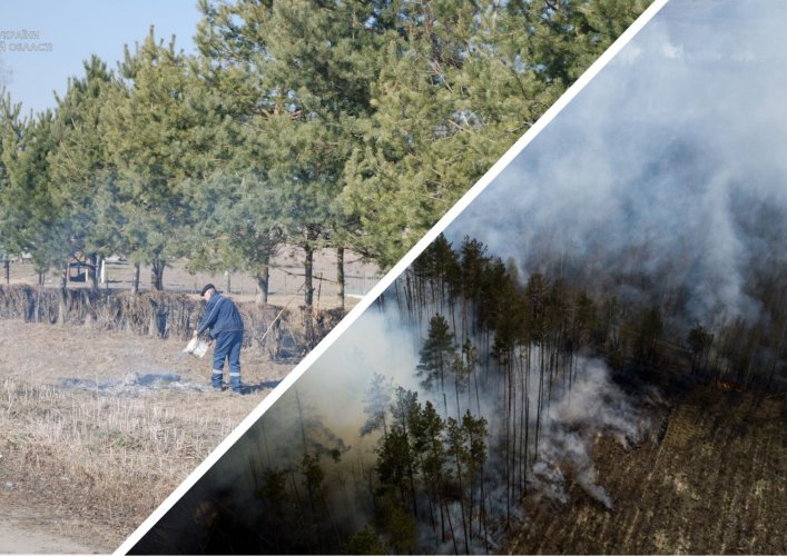 Во Львовской области только за сутки оштрафовали 35 поджигателей сухой травы