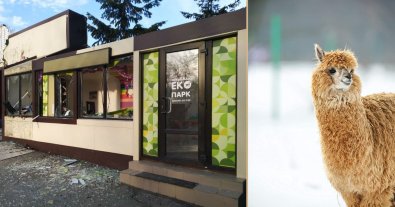 Фото – Харківському екопарку, який перебуває під обстрілами, пожертвували понад 800 тисяч гривень