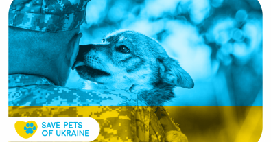 Фото – У Львові запустили ініціативу з порятунку домашніх тварин під час війни