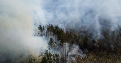 Фото – Лісові пожежі біля ЧАЕС: в уряді сказали, чи є загроза населенню