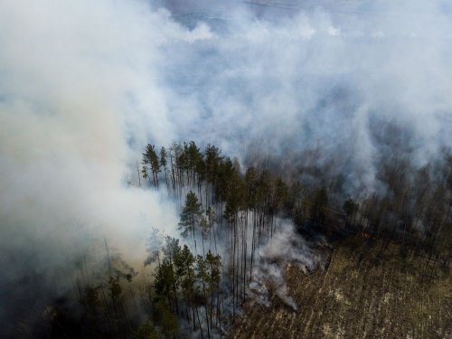 Лісові пожежі біля ЧАЕС: в уряді сказали, чи є загроза населенню