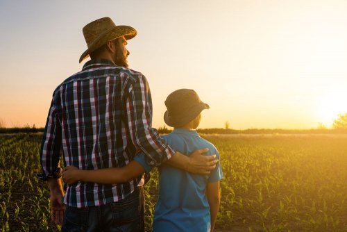 Access to pesticides and fertilizers was simplified for farmers during the war in Ukraine