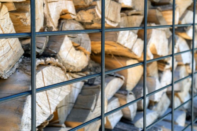 FSC заблокировала все поставки российской и белорусской древесины