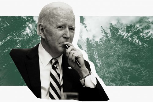 Biden called on the world to move faster to green energy amid Russia's war against Ukraine