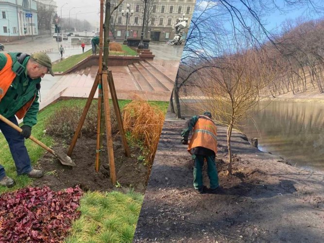 У Києві комунальники висадили сотні дерев та кущів. Фото