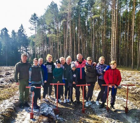 На Волыни переселенцы присоединились к высадке леса в рамках программы Зеленского. Фото