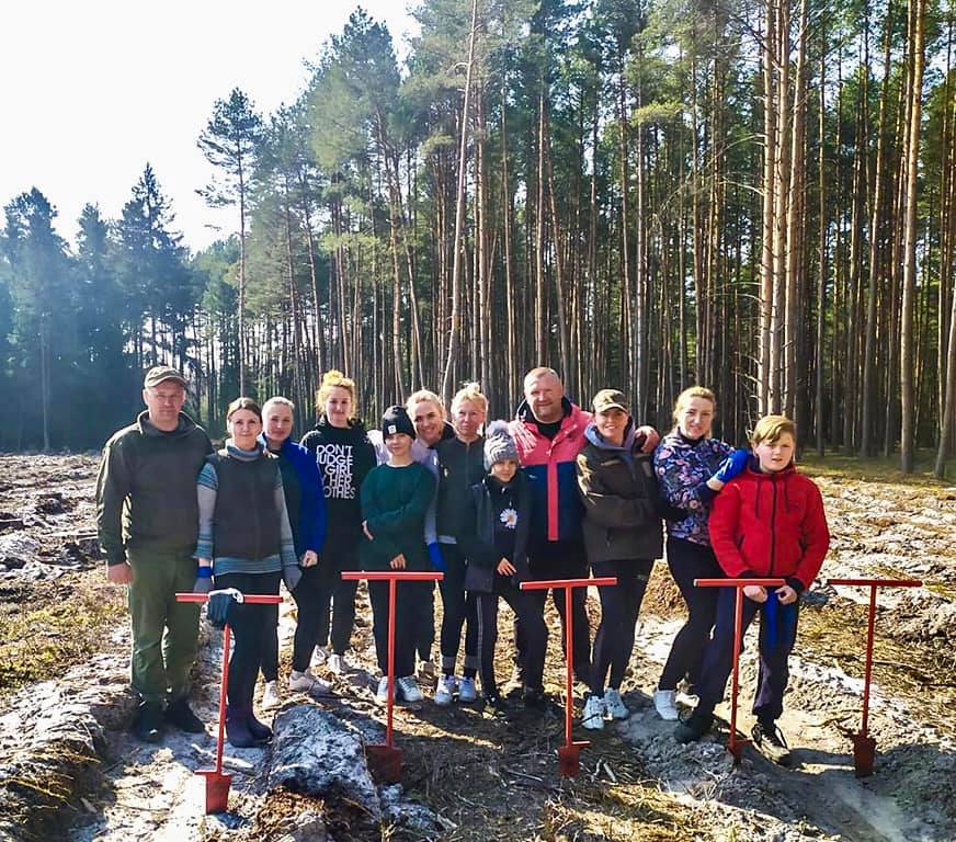 Фото – На Волыни переселенцы присоединились к высадке леса в рамках программы Зеленского. Фото