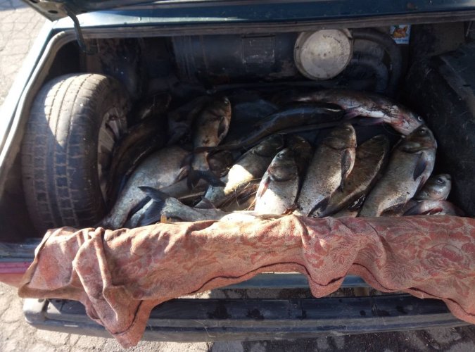 На Кіровоградщині спіймали браконьєра з уловом риби на чверть мільйона. Фото