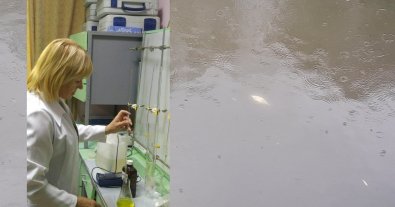 Фото – В реке в Ривненской области, где нашли мертвую рыбу, обнаружили превышение аммония